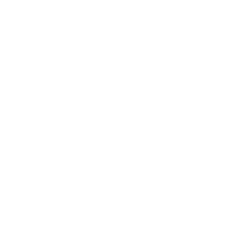 Valkyrie Revival Fund